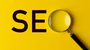 Read more about the article <strong>From Rankings to Revenue: How an SEO Agency Can Help Your Business Grow</strong>
